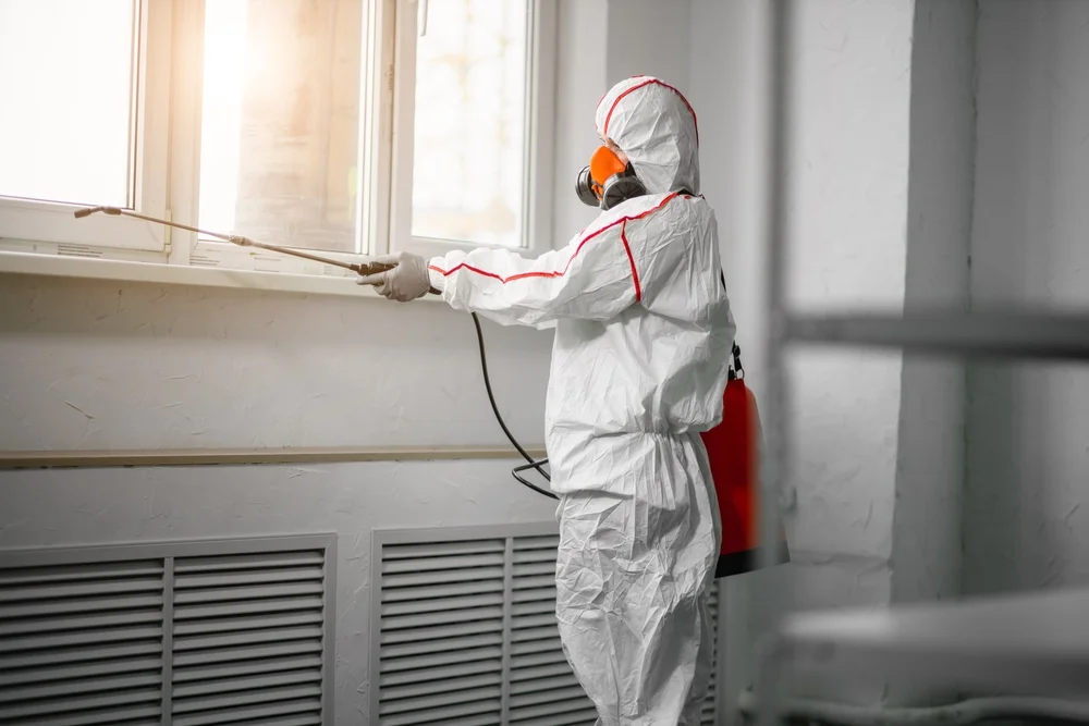 Professional mold remediation services in Thrall, TX